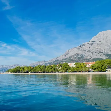 Granic プロマイナ